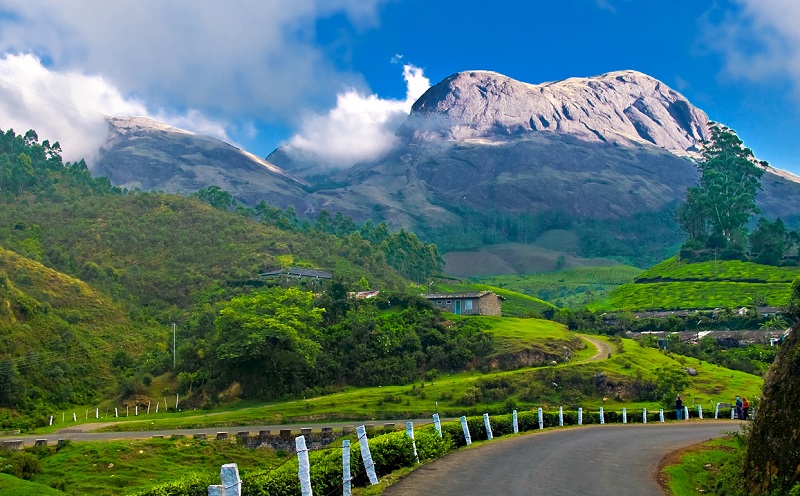 Munnar in Kerala