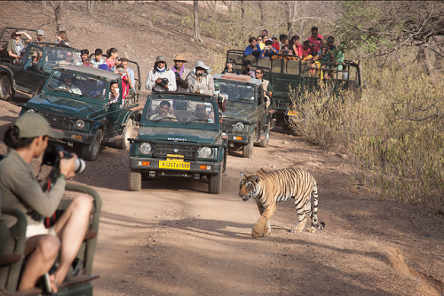Golden Triangle Tour Ranthambore with Oberoi Hotels
