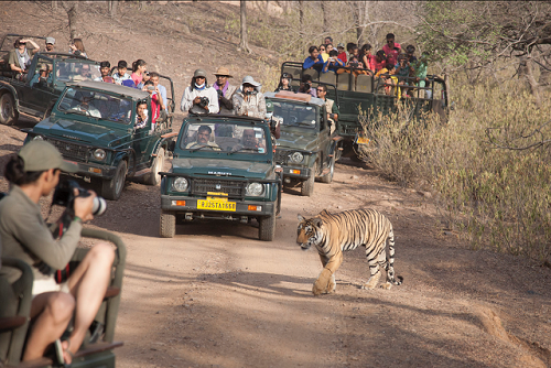 Golden Triangle Tour with Ranthambore