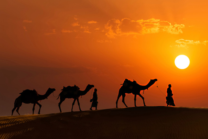 Why Rajasthan Tour Packages are popular in India for Travellers ?